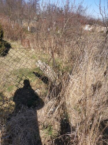 IMG-20210308-WA0025